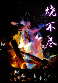 烧不尽广播剧3